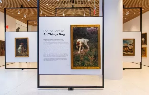 The New York Times – All Dogged Up: At the American Kennel Club’s New Museum