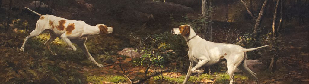 Two dogs called Sensation and Bang Bang are shown in a wooded area